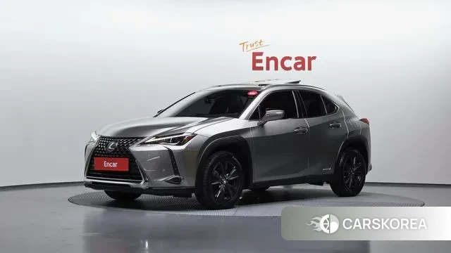 Lexus UX250h 2019 Цвет тростника из Кореи
