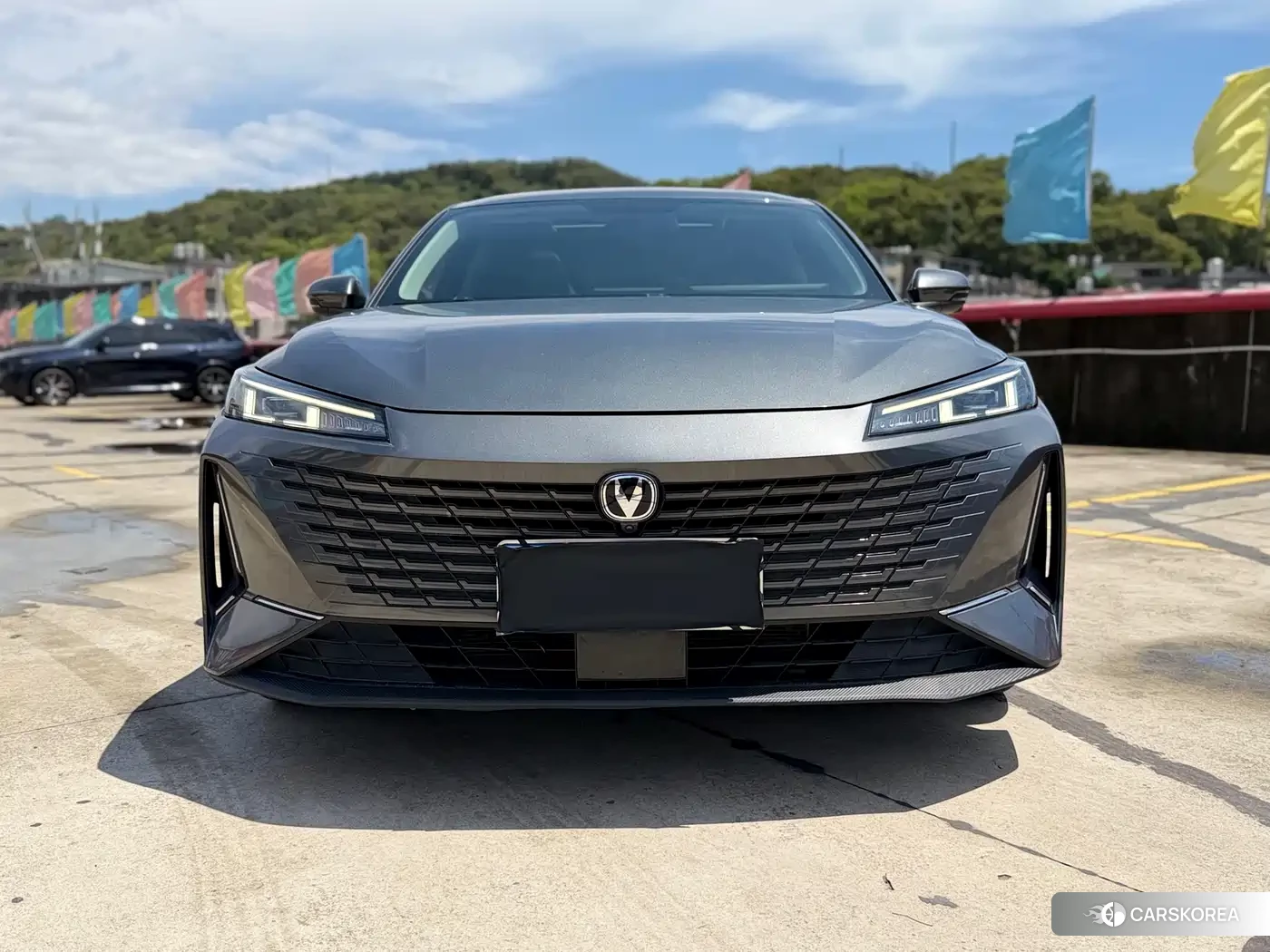 Chang'an Yida 2024 Silver/gray из Китая