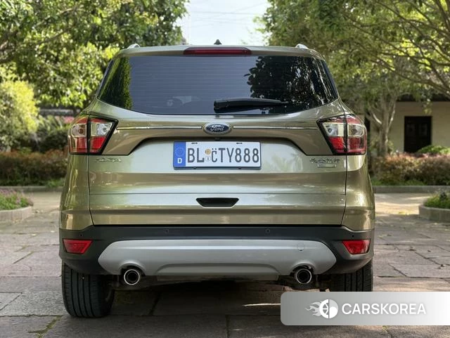 Ford Winged Tiger 2018 Шампань из Китая