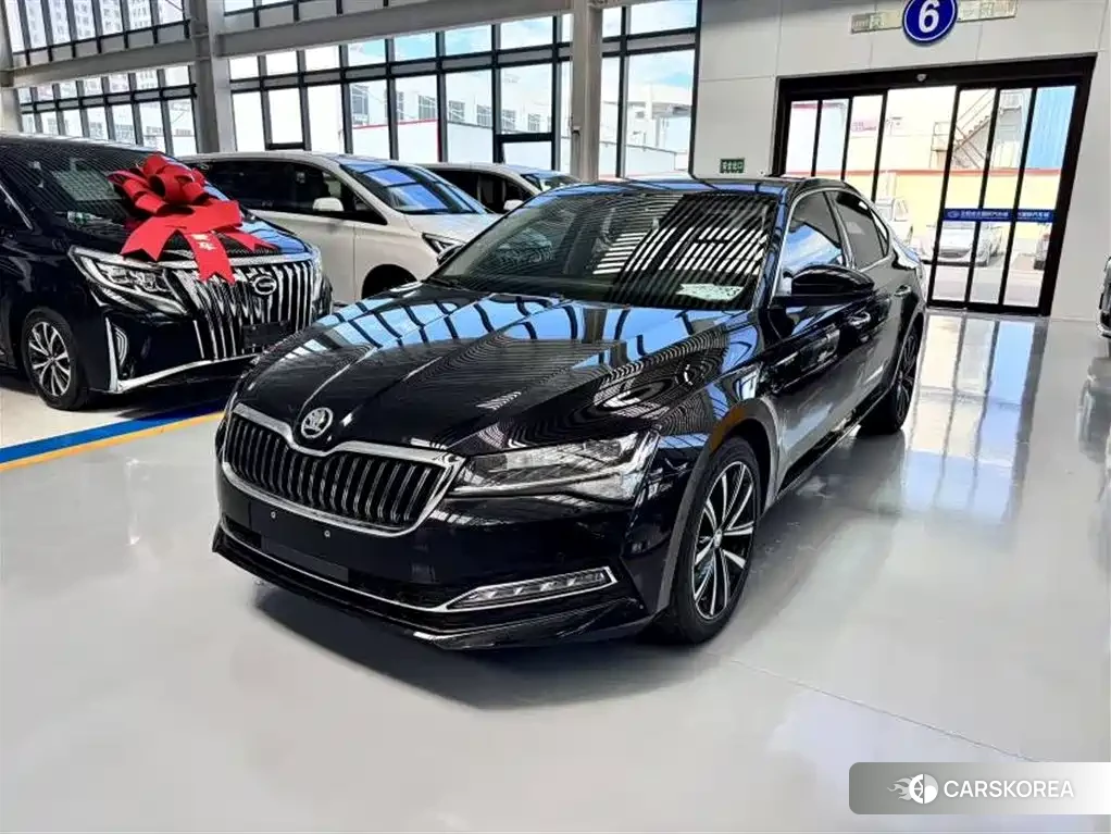 Skoda Speed pie 2026 Черный из Китая