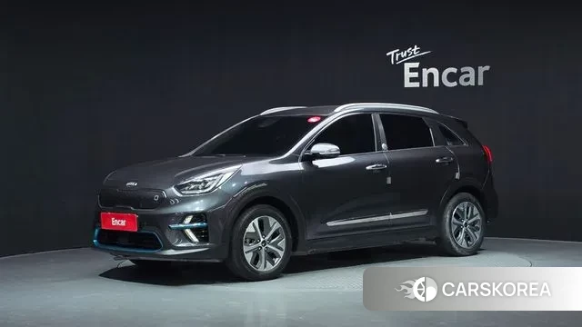 Kia Niro EV 2018 Серый из Кореи