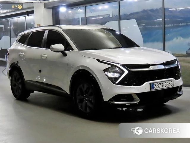 Kia Sportage 5th Generation 2024 Белый из Кореи