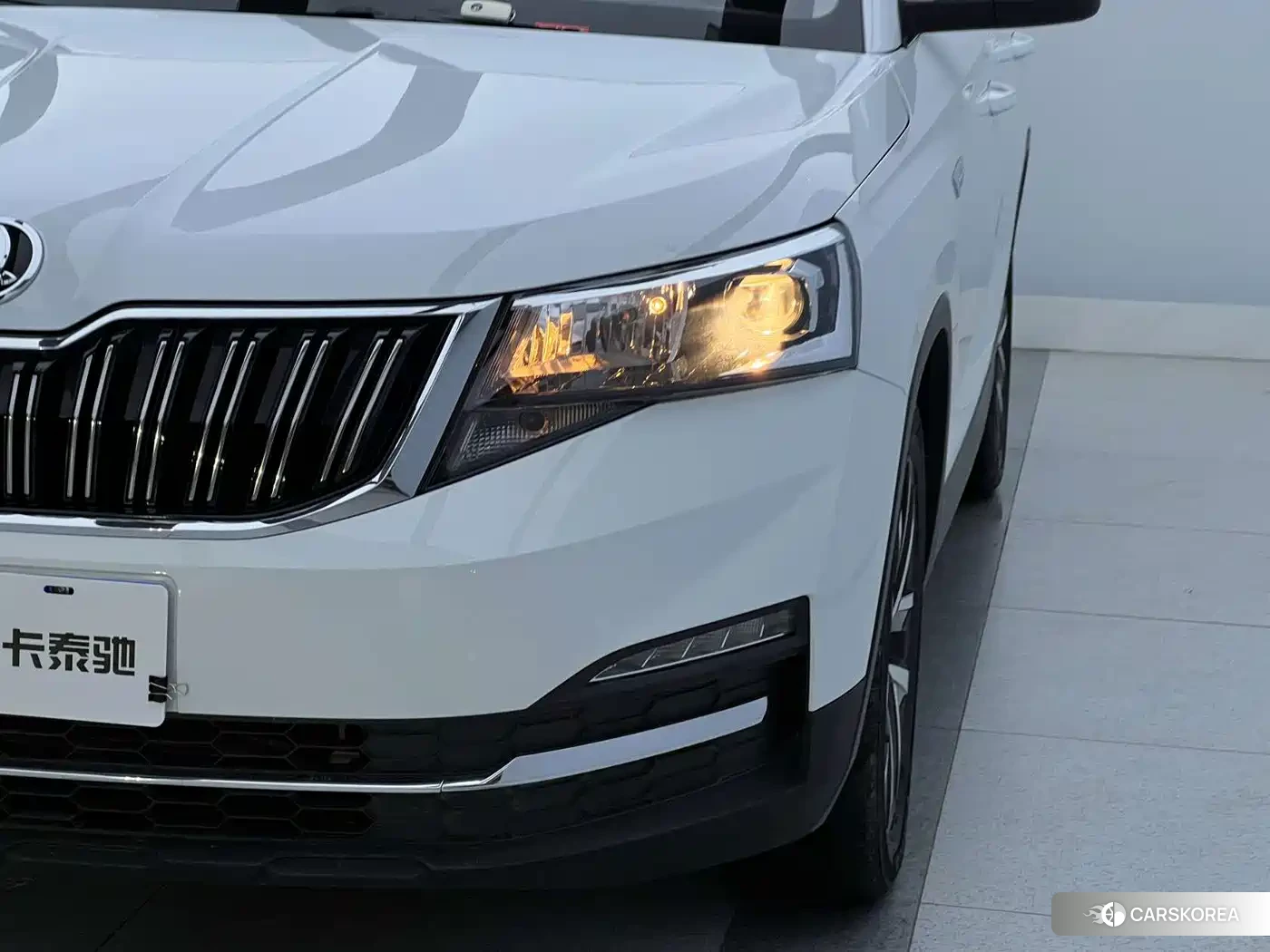 Skoda Kamiq 2023 Белый из Китая