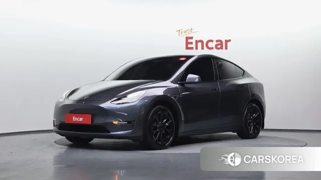 Tesla Model Y 2022 Серый из Кореи