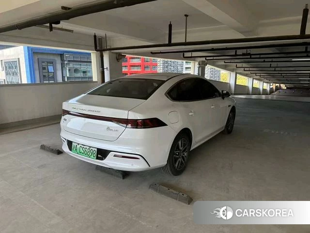 BYD Qin PLUS EV 2023 Белый из Китая