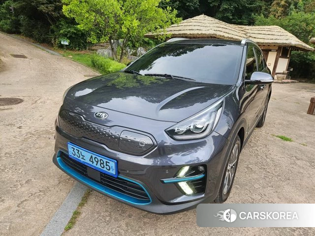 Kia Niro EV 2019 Серый из Кореи