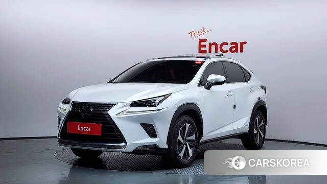 Lexus NX300h 2019 Белый из Кореи