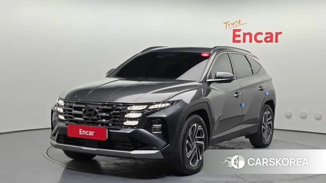Hyundai The New Tucson (NX4) 2025 Цвет тростника из Кореи