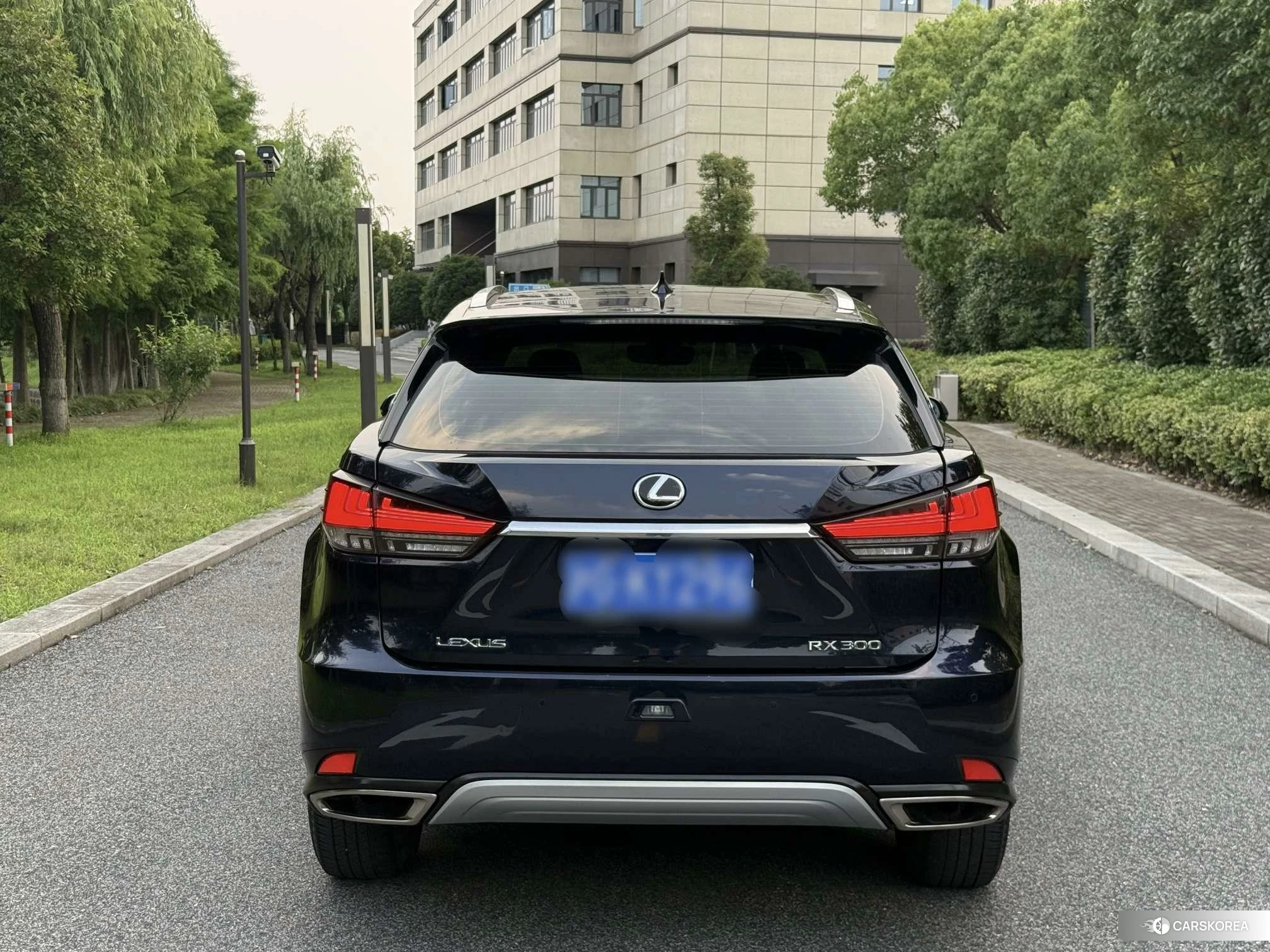 Lexus RX 2019 Черный из Китая