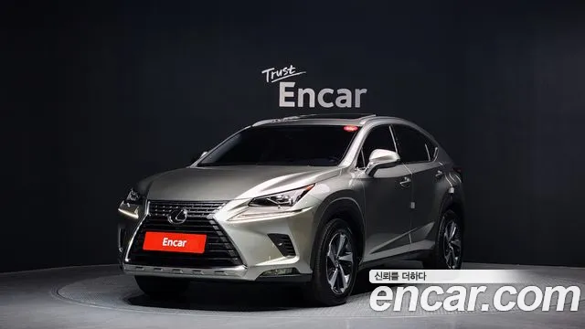 Lexus NX300 2018 Серый из Кореи