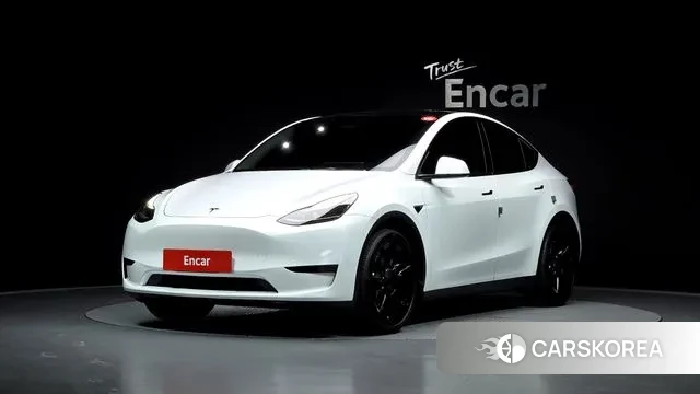 Tesla Model Y 2023 Белый из Кореи