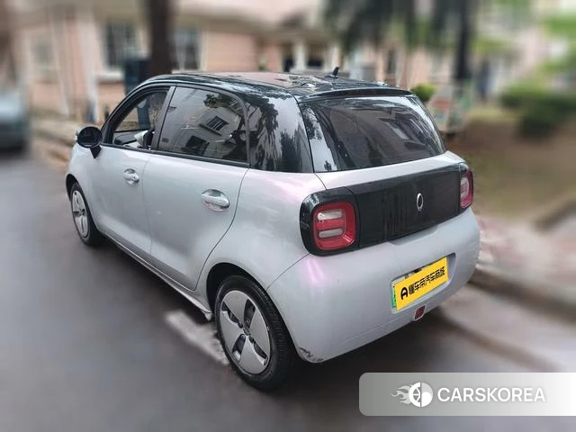 Euler Black cat 2019 Белый из Китая