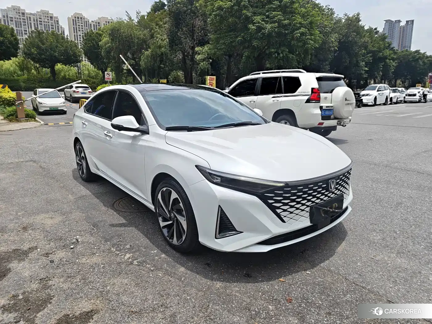 Chang'an Ruicheng PLUS 2023 Белый из Китая