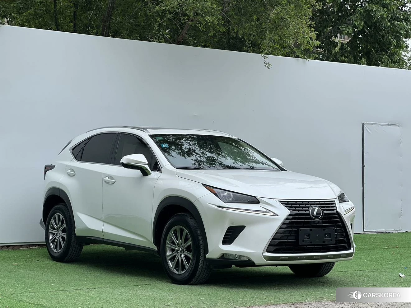 Lexus NX 2019 Белый из Китая