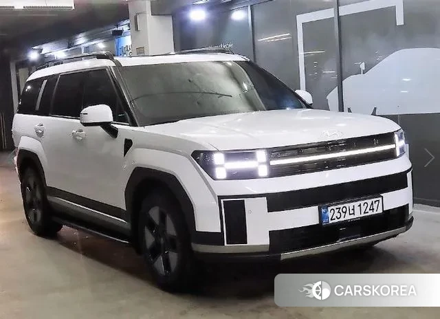 Hyundai Santa Fe (MX5) 2024 Белый из Кореи