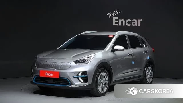 Kia Niro EV 2021 Серый из Кореи