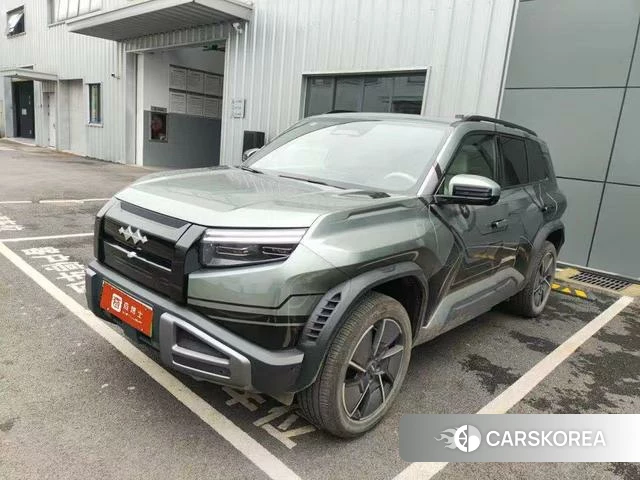 Leopard Titanium 3 2025 Зеленый из Китая