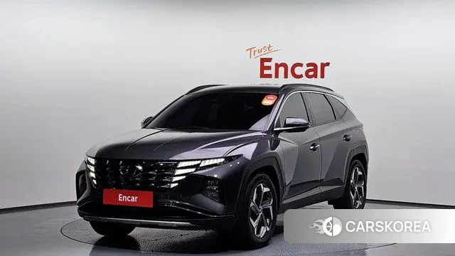 Hyundai Tucson (NX4) 2022 Серый из Кореи