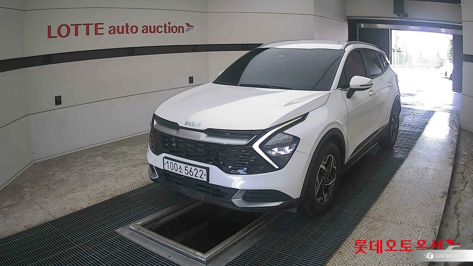 Kia Sportage 2023 Белый из Кореи