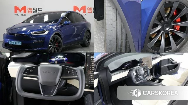 Tesla Model X 2023 Синий из Кореи