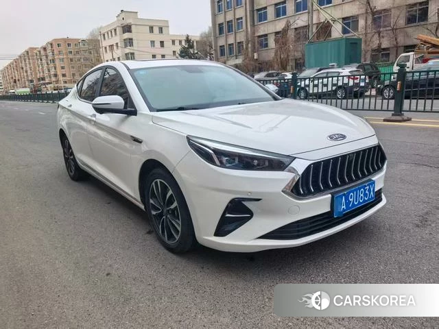 Jiangqi Group Jiayue A5 2020 Белый из Китая
