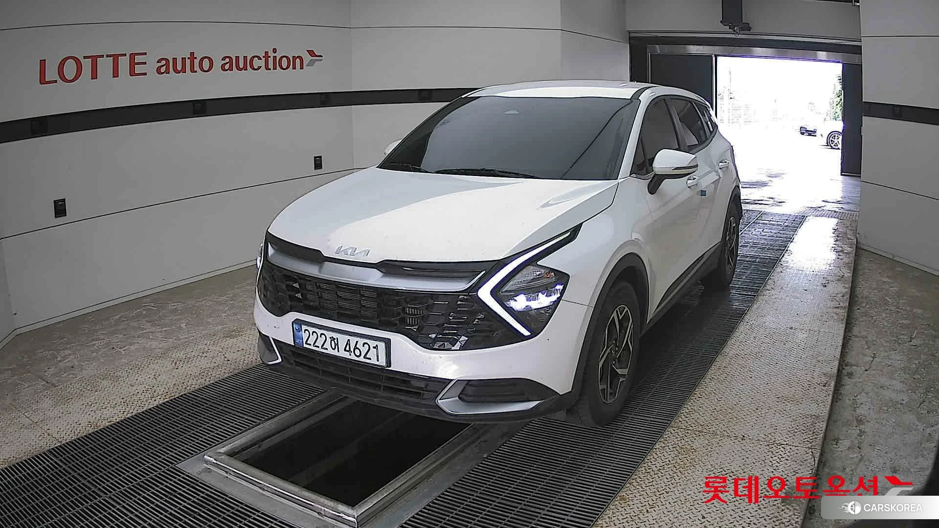 Kia Sportage 2024 Snow White Pearl из Кореи