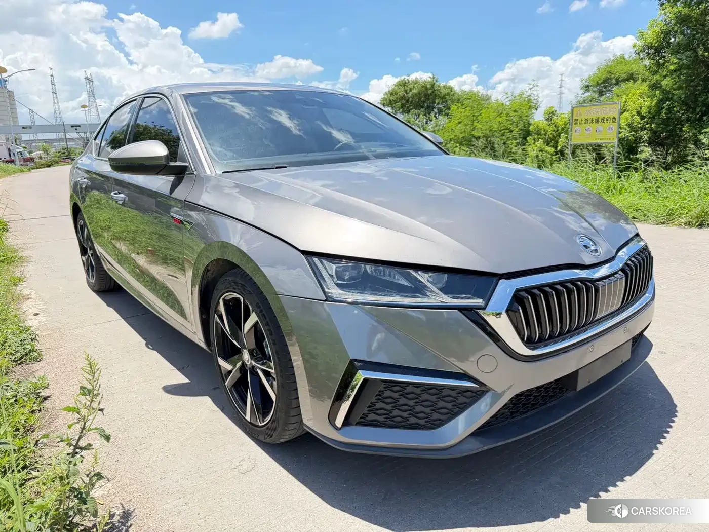 Skoda Octavia 2022 Champagne/brown из Китая