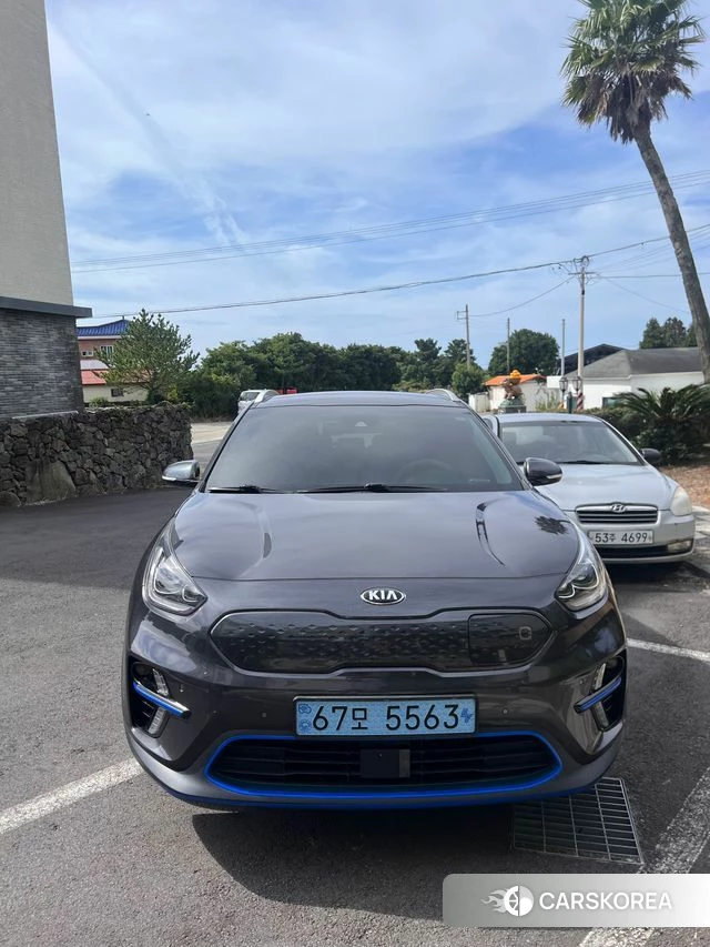 Kia Niro EV 2019 Серый из Кореи