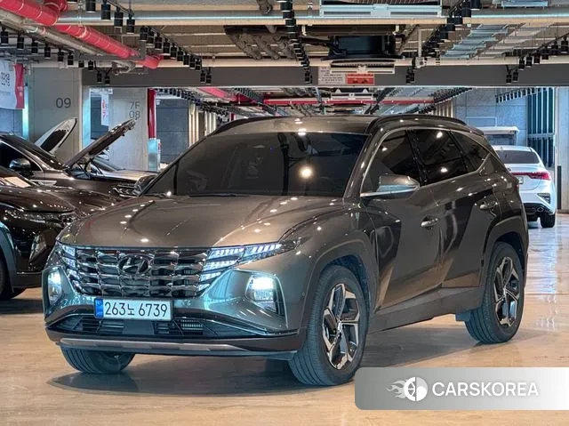 Hyundai Tucson Hybrid (NX4) 2023 Серый из Кореи