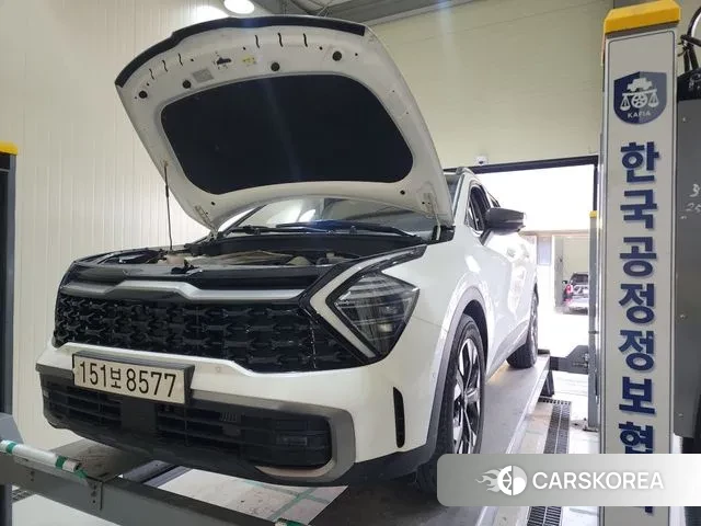 Kia Sportage 5th Generation 2021 Белый из Кореи