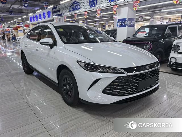 BYD Qin PLUS DM 2025 Белый из Китая