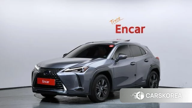 Lexus UX250h 2019 Серый из Кореи