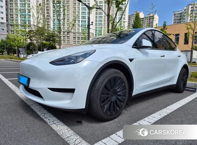 Tesla Model Y 2023 Белый из Кореи