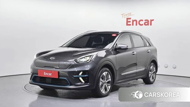Kia Niro EV 2019 Серый из Кореи