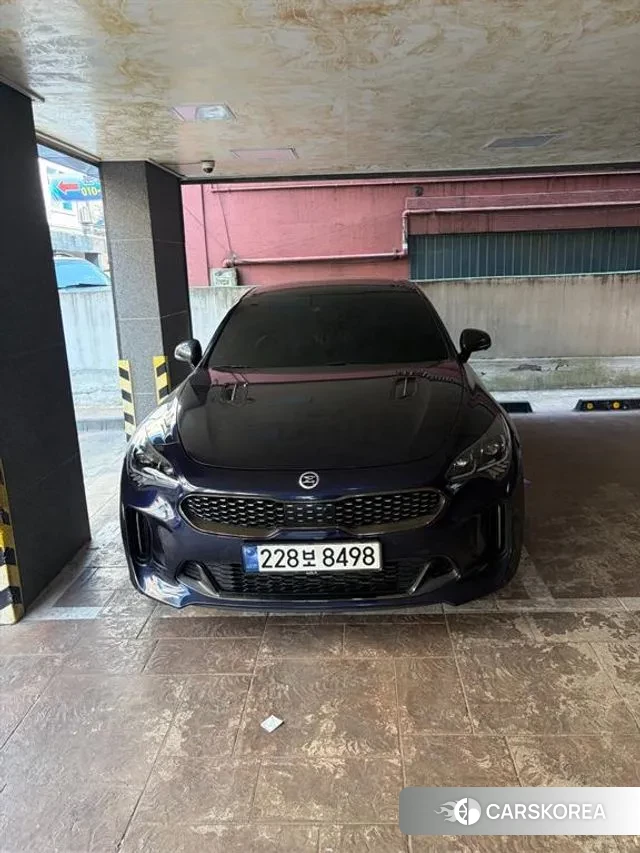 Kia Stinger 2020 Синий из Кореи