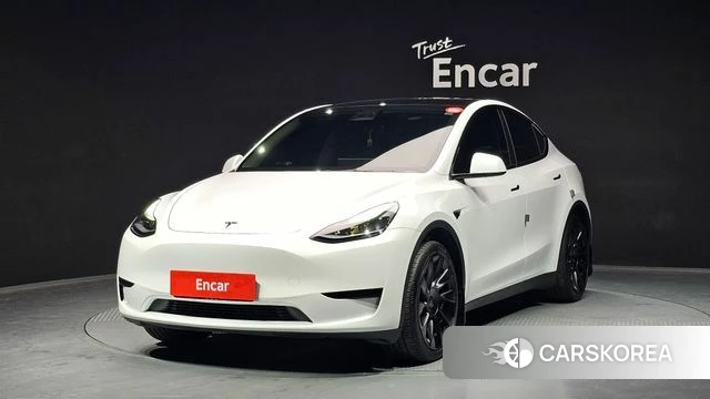Tesla Model Y 2023 Белый из Кореи