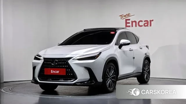 Lexus NX350h Second generation 2024 Белый из Кореи