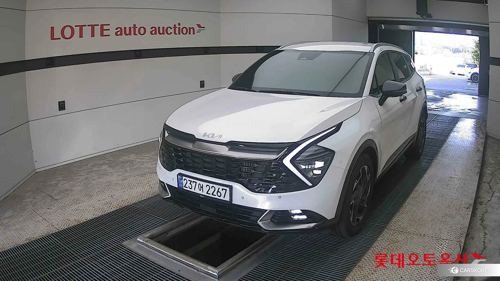 Kia Sportage 2022 Белый из Кореи