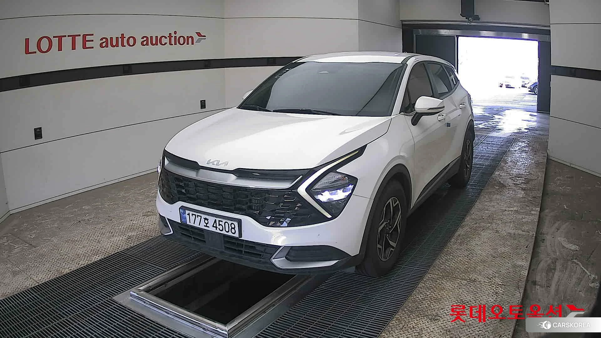 Kia Sportage 2024 Snow White Pearl из Кореи