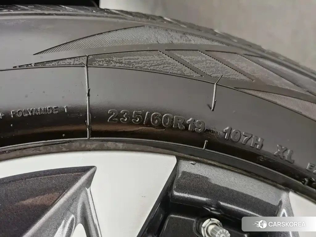 Haval Big dog 2023 Silver/gray из Китая