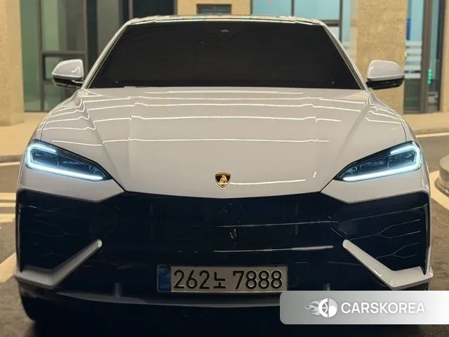 Lamborghini Urus 2025 Белый из Кореи