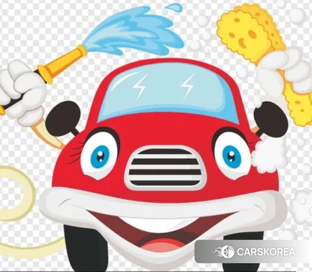 Ssangyong Tivoli Armor 2018 Жемчужный цвет из Кореи