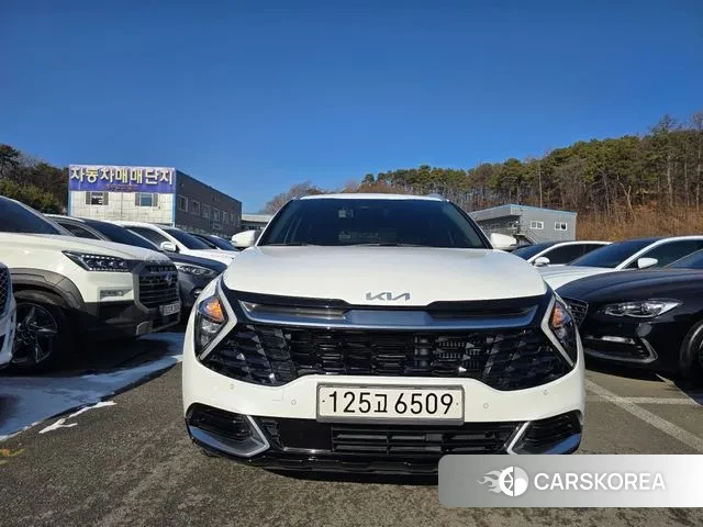 Kia Sportage 5th Generation Hybrid 2022 Белый из Кореи