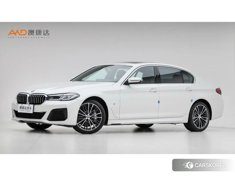 BMW 5 series 2020 Белый из Китая