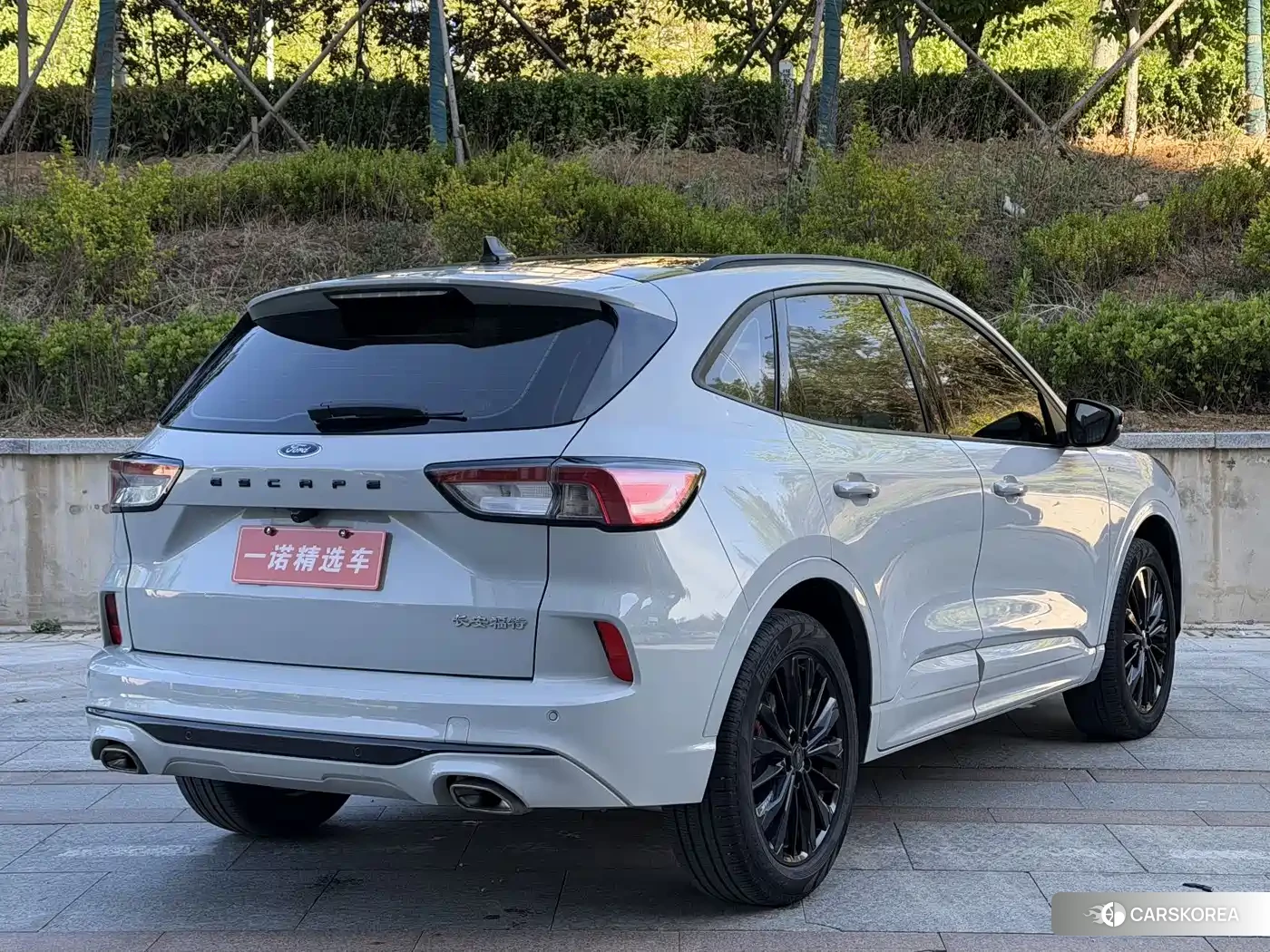 Ford Ruiji 2023 Silver/gray из Китая