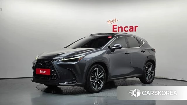 Lexus NX350h Second generation 2023 Серый из Кореи
