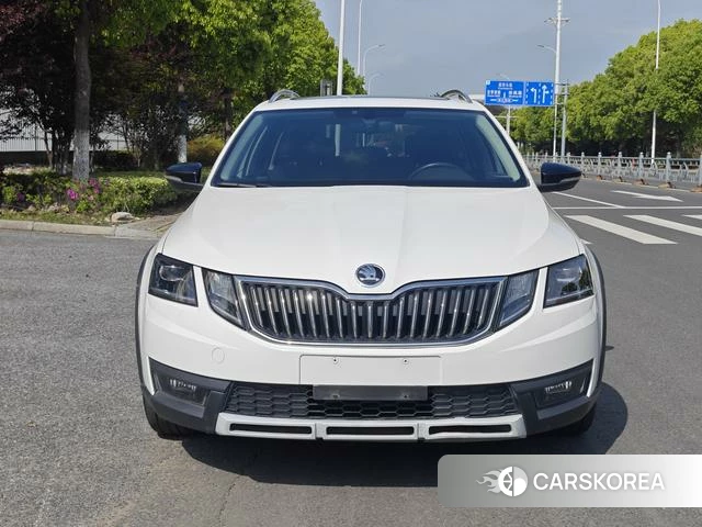 Skoda Octavia 2018 Белый из Китая