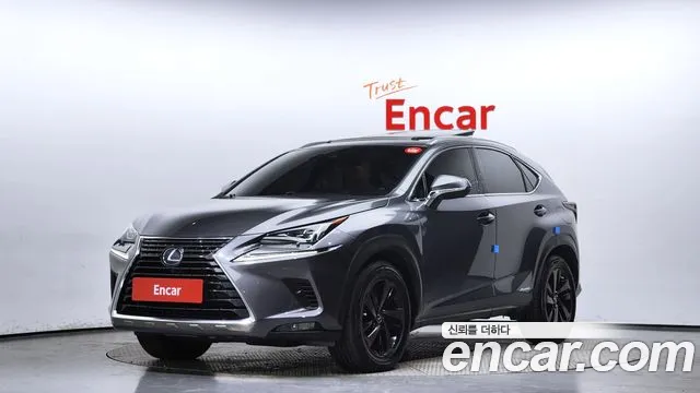 Lexus NX300h 2019 Серый из Кореи