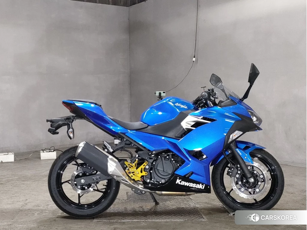 Проданный Kawasaki NINJA 250 2018 из Японии
