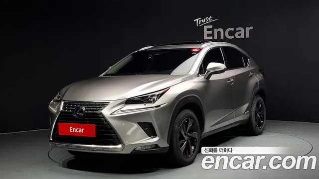 Lexus NX300h 2019 Серебристо-серый из Кореи